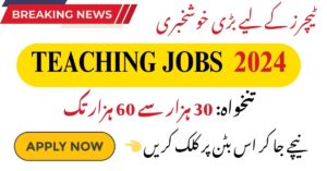 teaching jobs in 2024